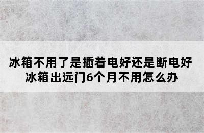 冰箱不用了是插着电好还是断电好 冰箱出远门6个月不用怎么办